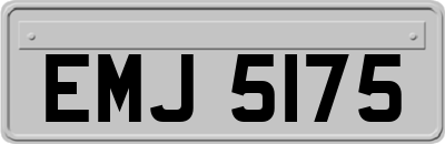 EMJ5175