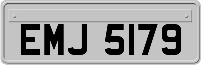 EMJ5179