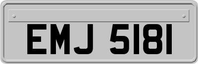 EMJ5181