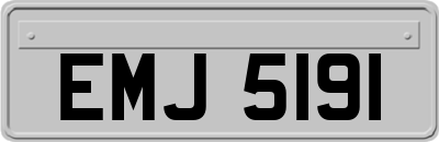 EMJ5191