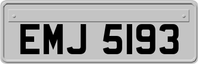 EMJ5193