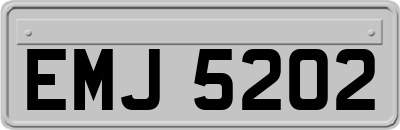 EMJ5202