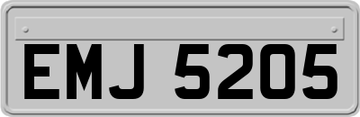 EMJ5205
