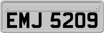 EMJ5209