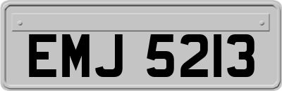 EMJ5213