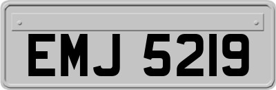 EMJ5219