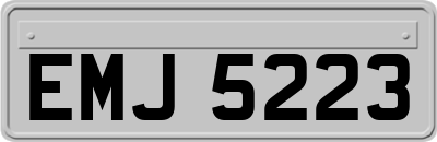 EMJ5223