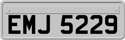 EMJ5229