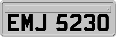 EMJ5230