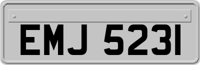 EMJ5231