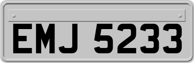 EMJ5233