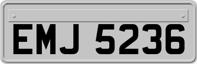 EMJ5236
