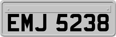 EMJ5238