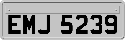 EMJ5239