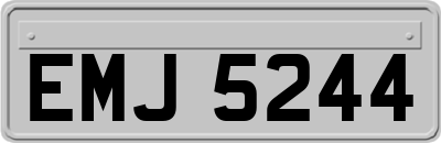 EMJ5244