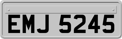 EMJ5245