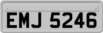 EMJ5246