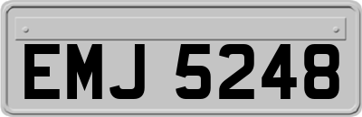 EMJ5248