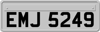 EMJ5249