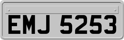 EMJ5253