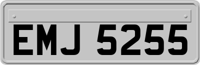 EMJ5255