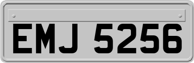 EMJ5256