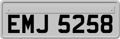 EMJ5258