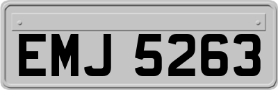 EMJ5263