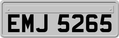 EMJ5265