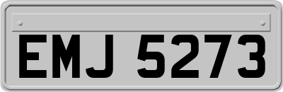 EMJ5273