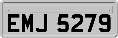 EMJ5279