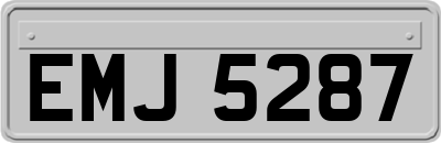 EMJ5287