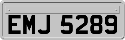 EMJ5289