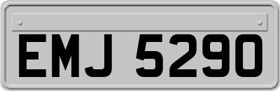 EMJ5290