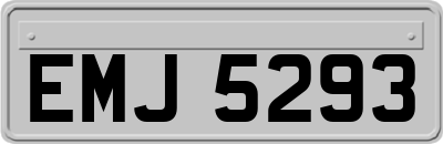 EMJ5293