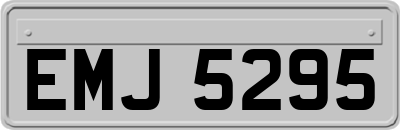 EMJ5295
