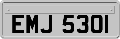 EMJ5301