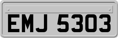 EMJ5303