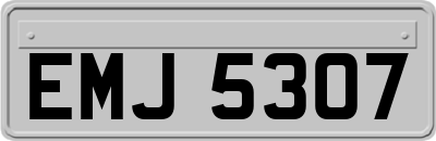 EMJ5307
