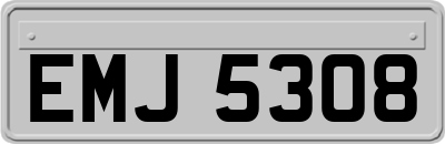 EMJ5308