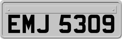 EMJ5309