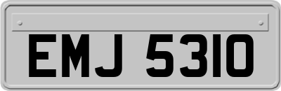 EMJ5310