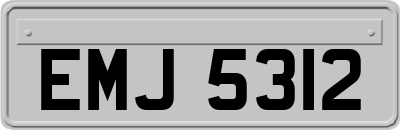 EMJ5312
