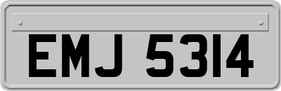 EMJ5314