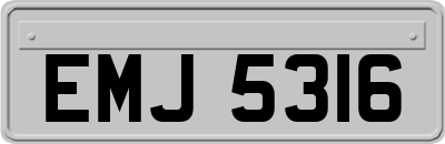 EMJ5316