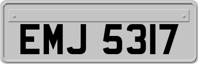 EMJ5317