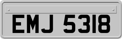EMJ5318