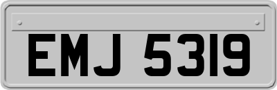 EMJ5319