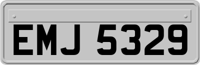 EMJ5329