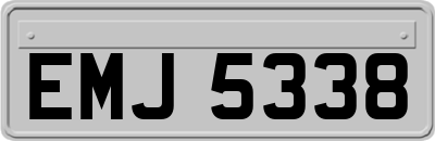 EMJ5338
